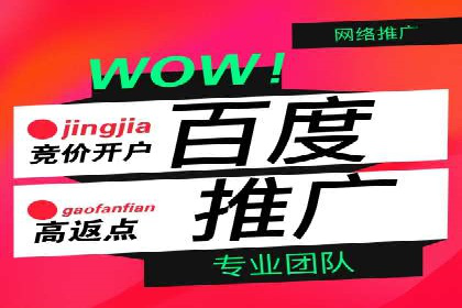 竞价排名案例分析：教育行业